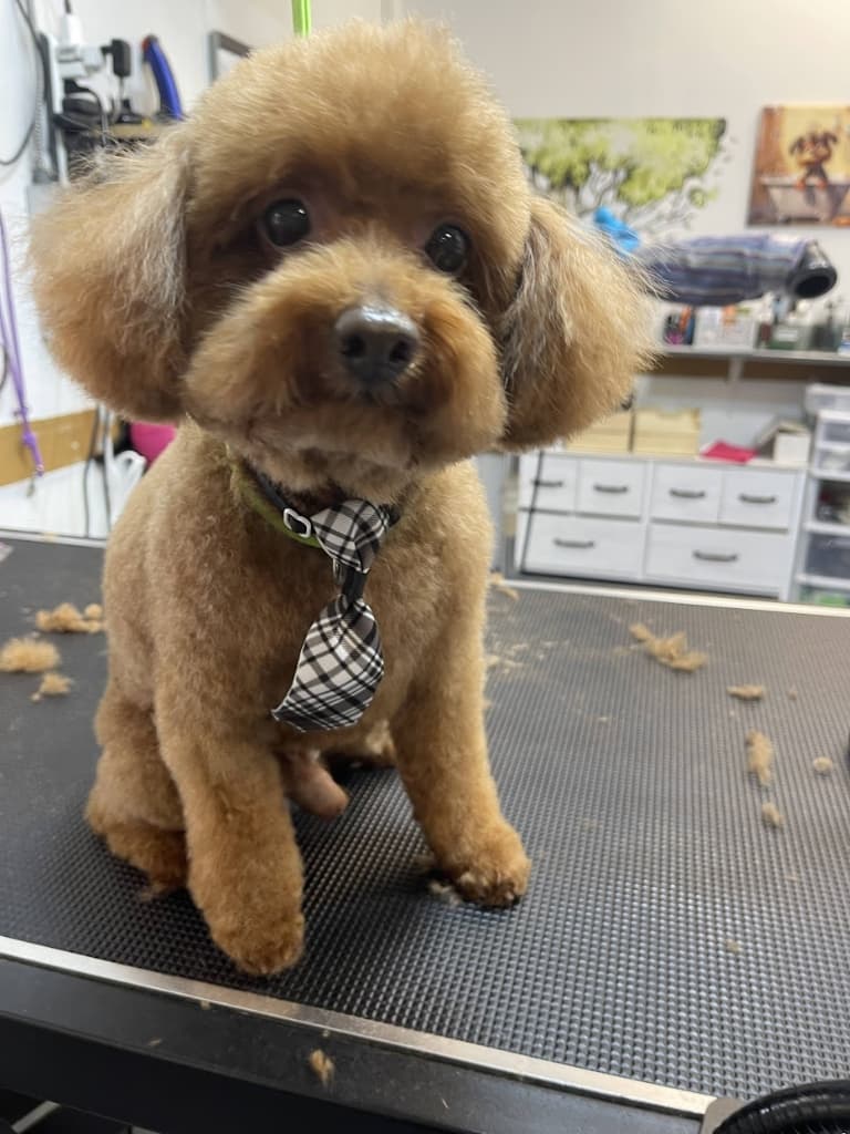 Happy Moment 2025 14